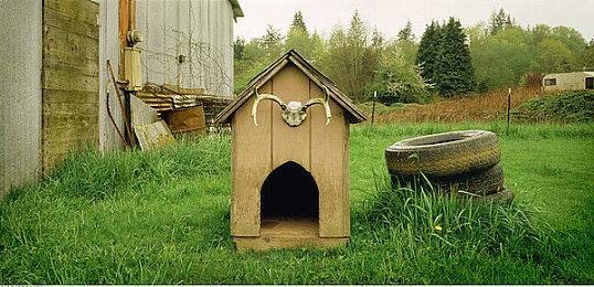 《消逝的光芒2》媒体评分解禁 M站均分78